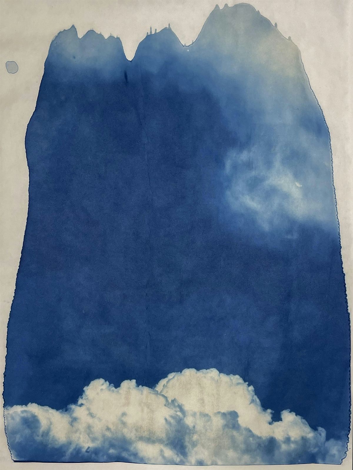 Cyanotype Workshop