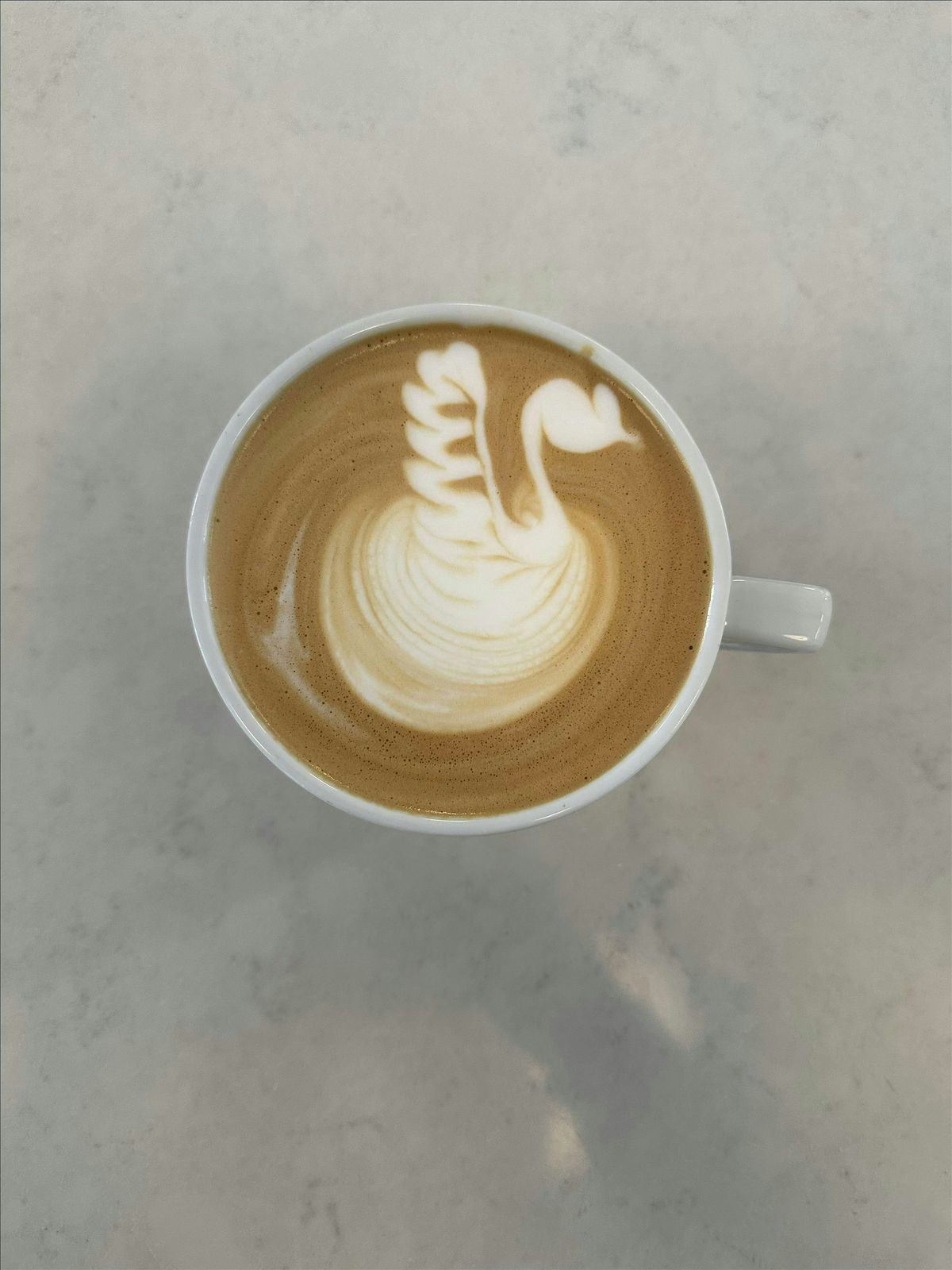 Latte Art Throwdown