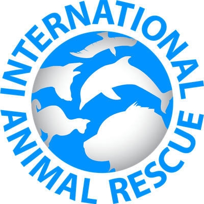 International Animal Rescue