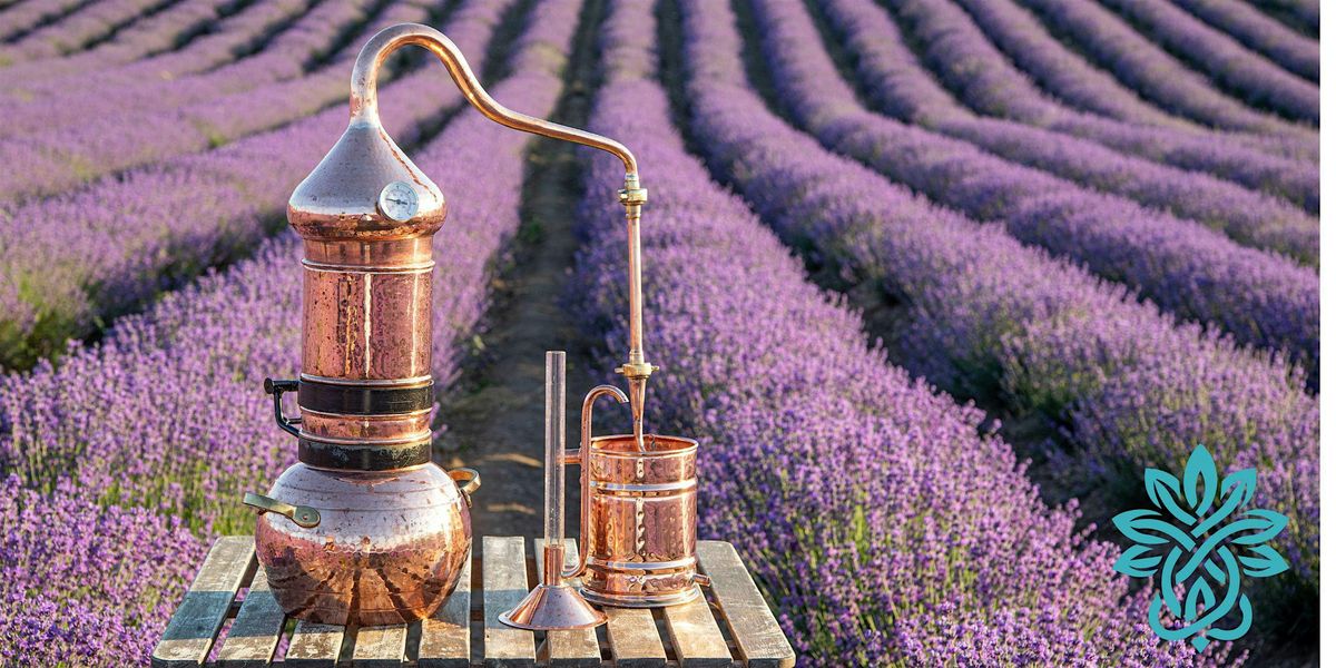 CUIDADO Y NUTRICI\u00d3N DE LA PIEL  DESPUES DEL INVIERNO \u2728
