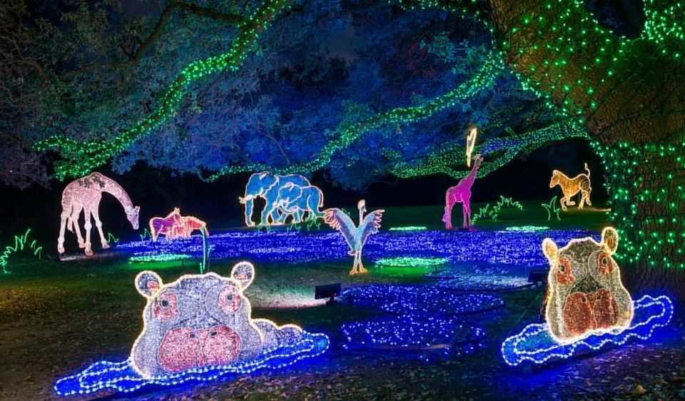 Zoo Lights At Hogle Zoo 2022