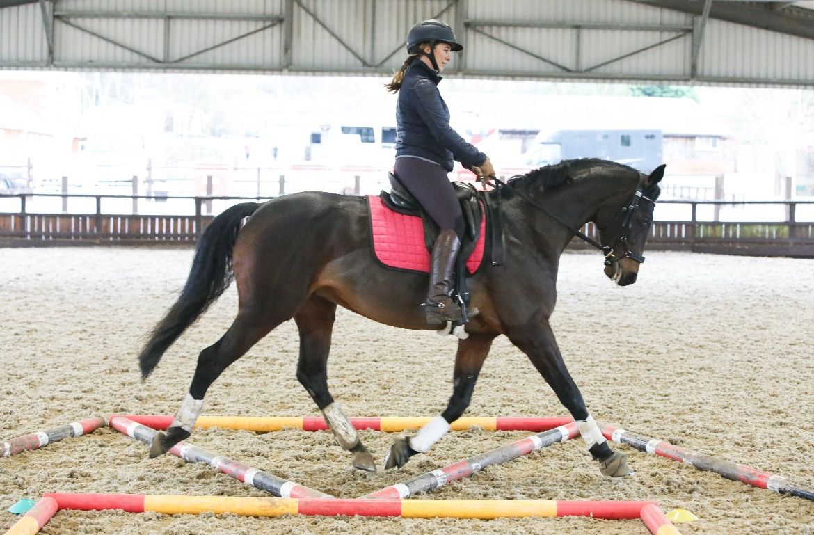 Polework patterns at Moreton Morrell college 