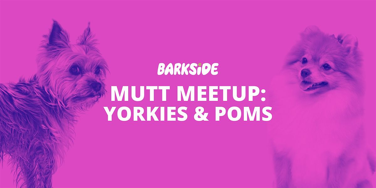 Mutt Meetup: Yorkies & Pomeranians