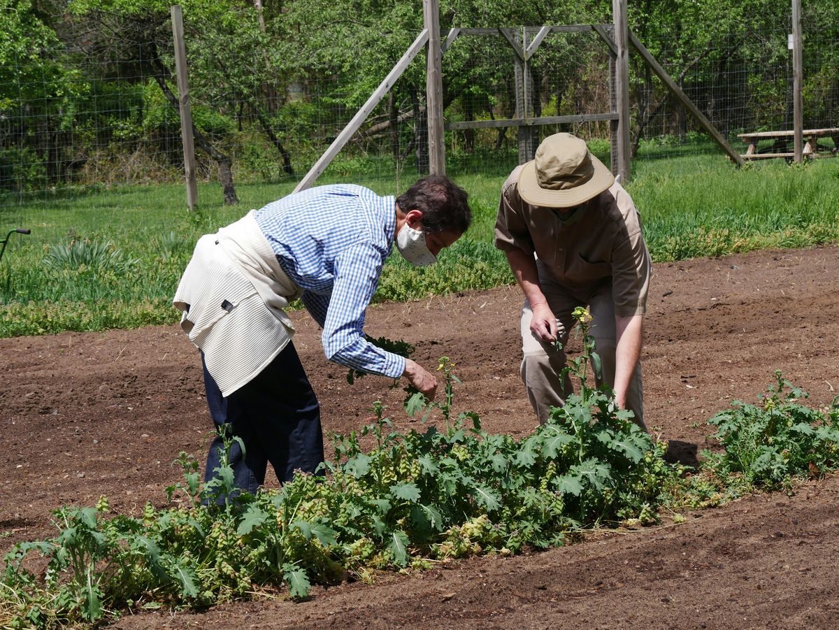 Clay Pit Care: Farm Refresh