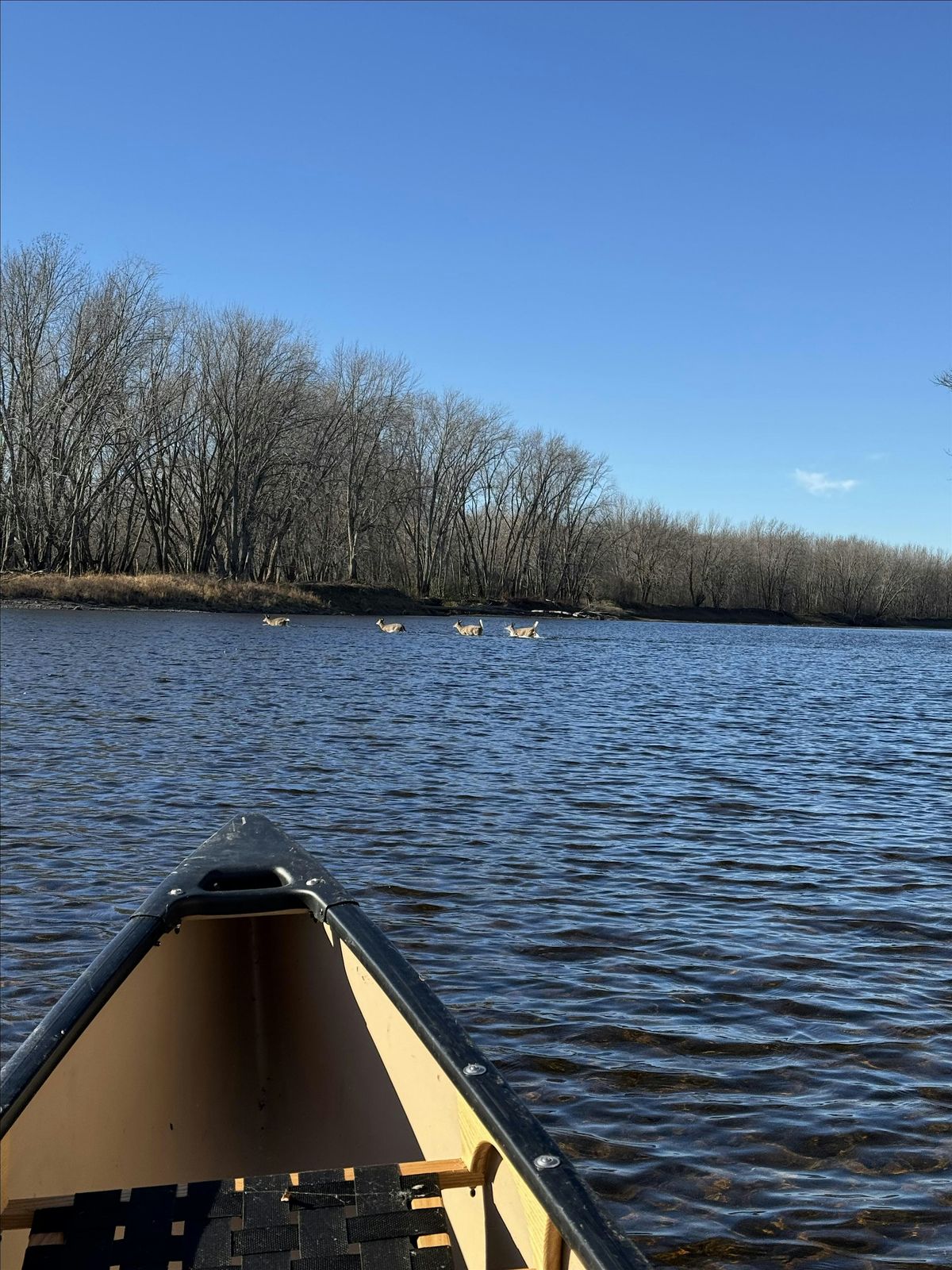 Water, partnerships, and boots on the ground in the Nashwaak Watershed