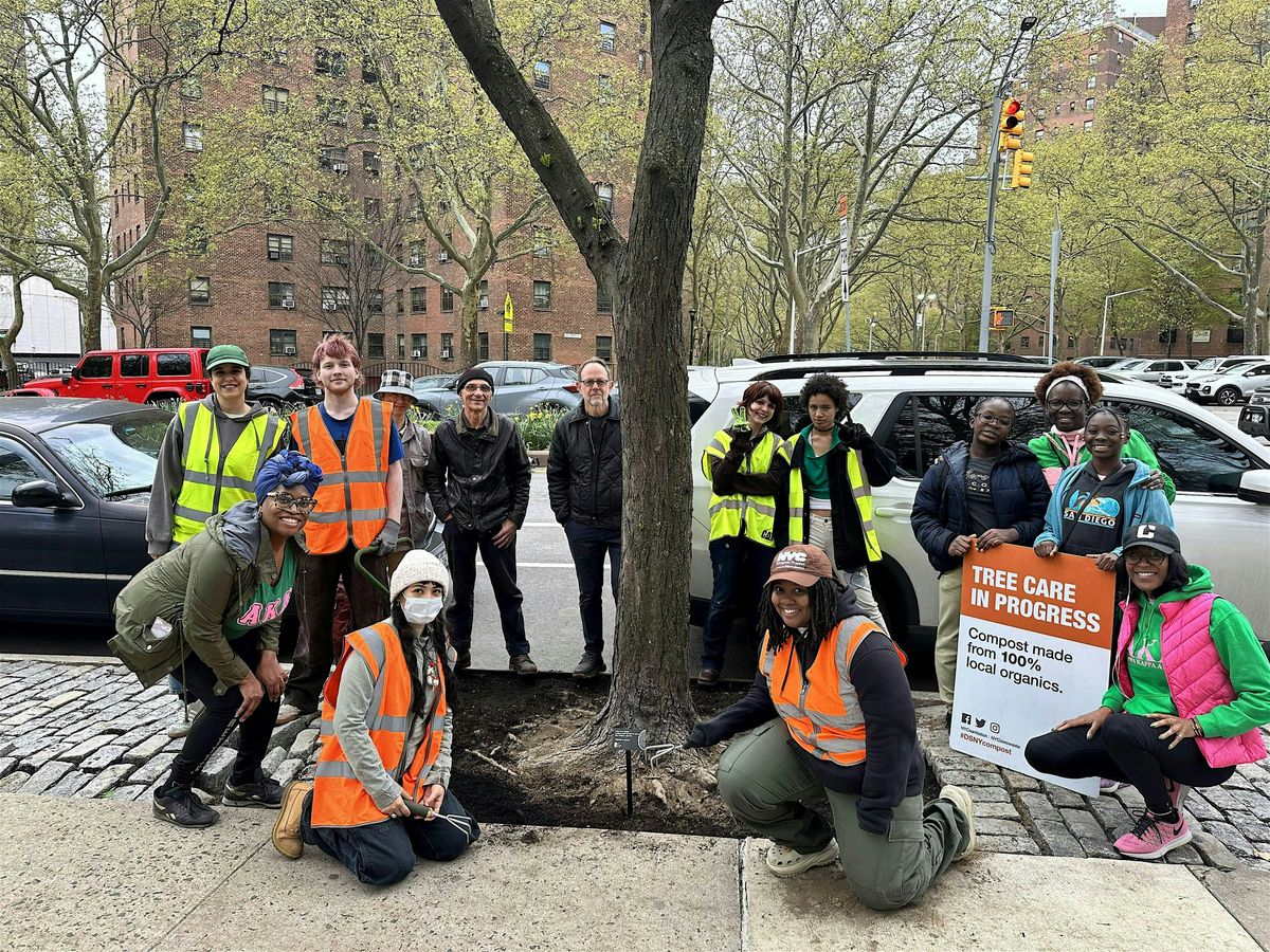 City of Forest Day 2025: Street Tree Care at Seward Park