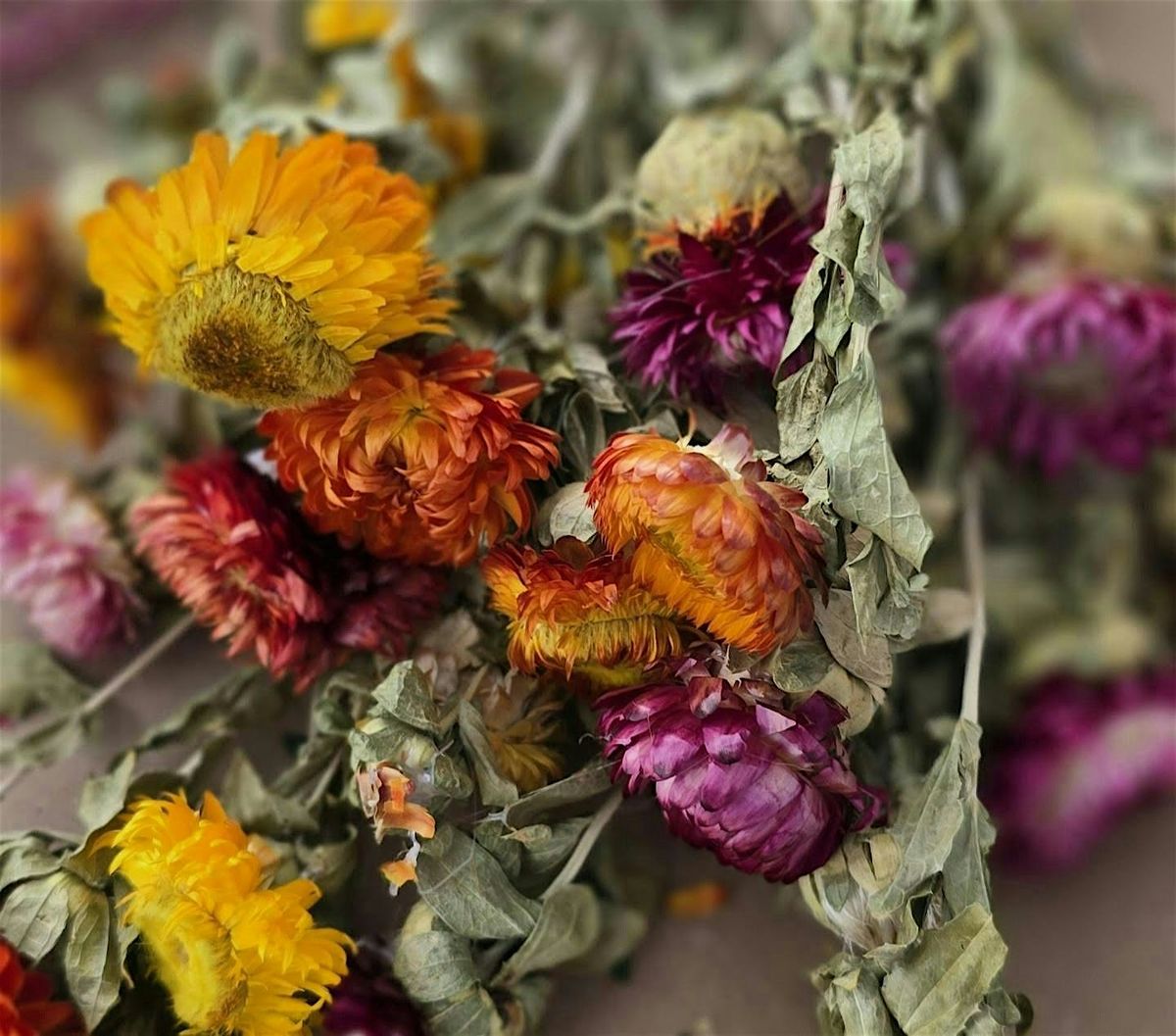 DRIED FLORAL WORKSHOP