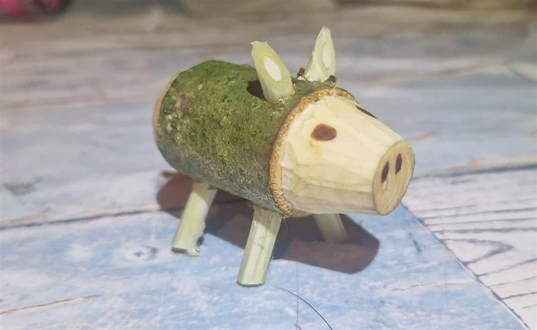 Woodland and Wilderness Skills for Home Ed Children