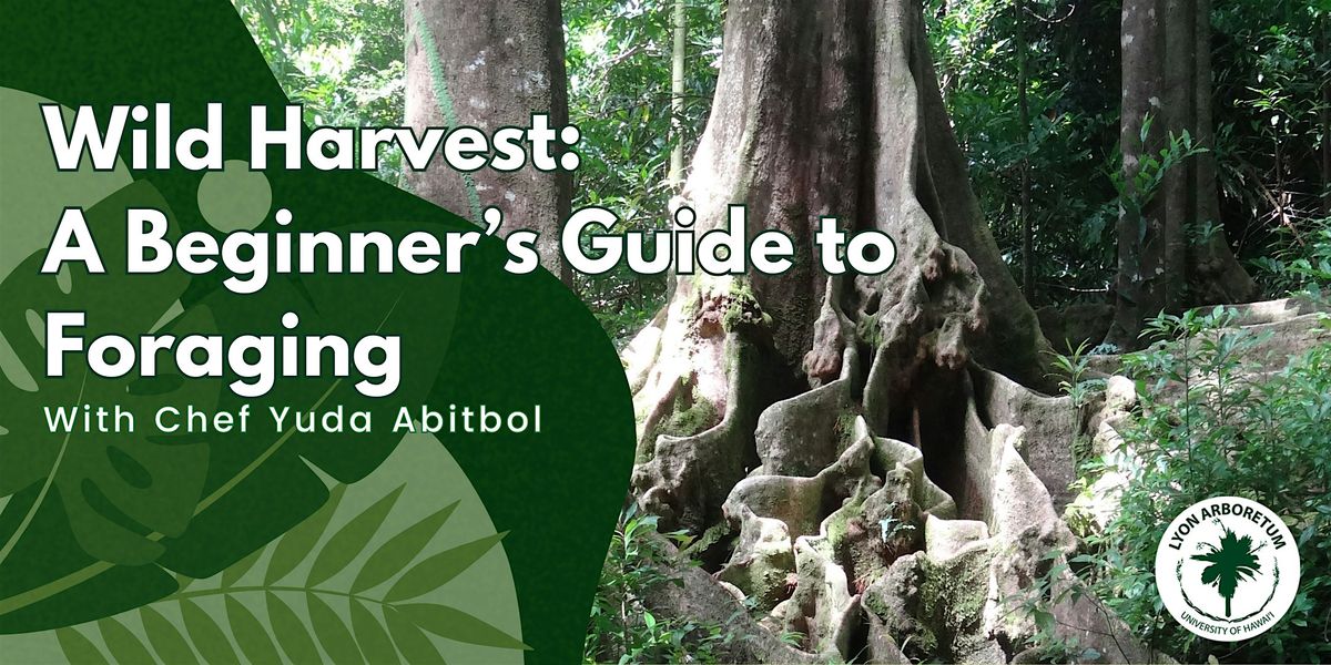 Wild  Harvest: A Beginner's Guide to Foraging