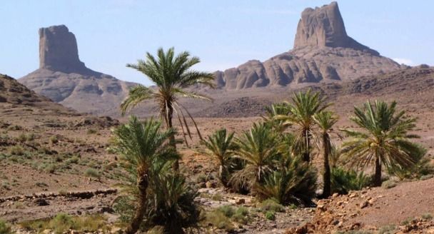 MAROCCO TREKKING DEL DJEBEL SAGHRO