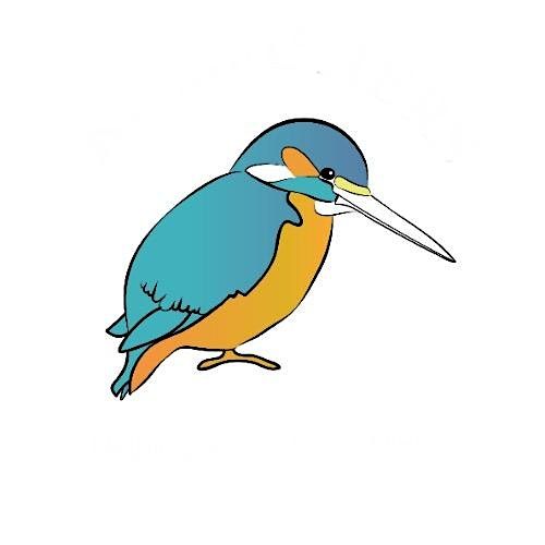 Kingfishers quiz night 2025