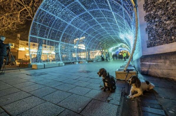 Norwich City Centre Christmas lights - December 2024