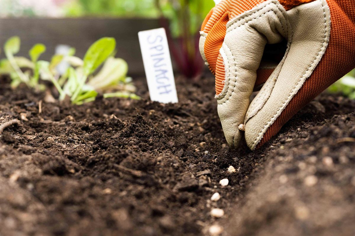 Planning a Fall Garden?