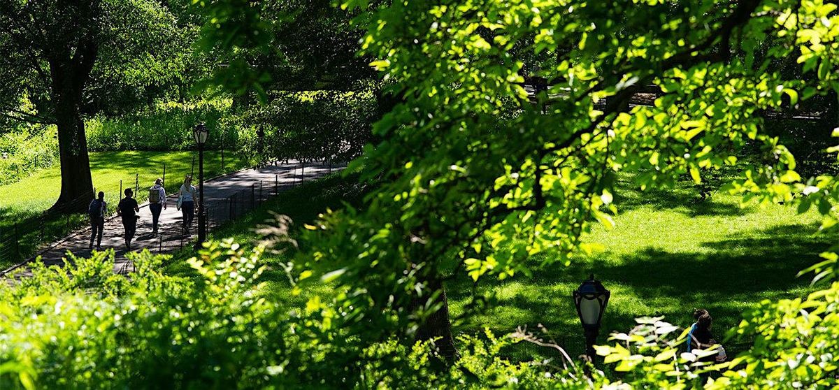 August Weekly NYRR Striders Walking Group IN-PERSON PROGRAM