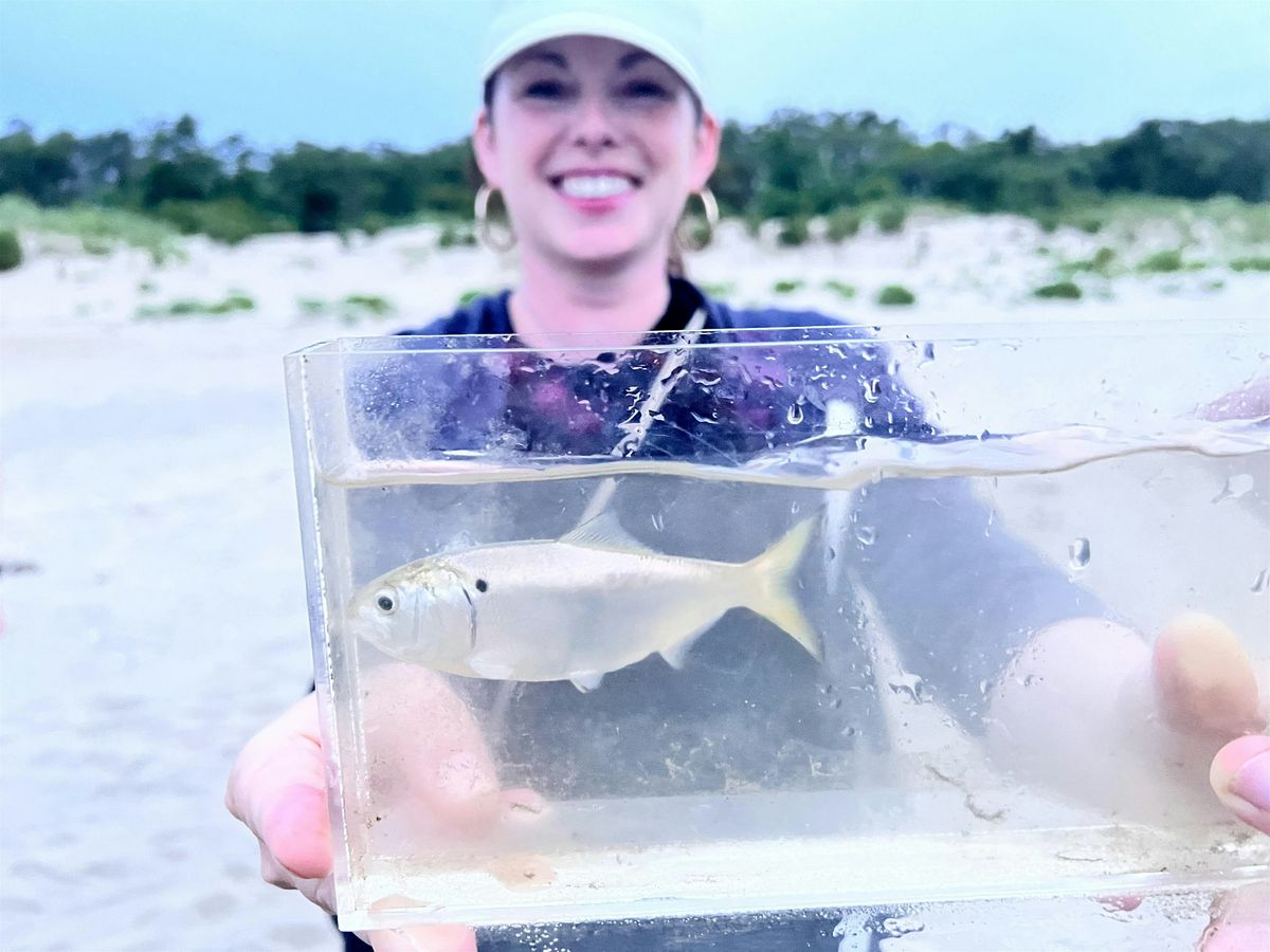 Family Fish Survey event along Sandy Hook Bay