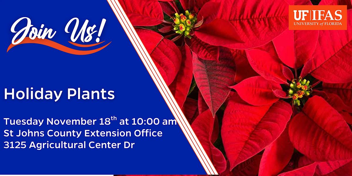 Holiday Plants