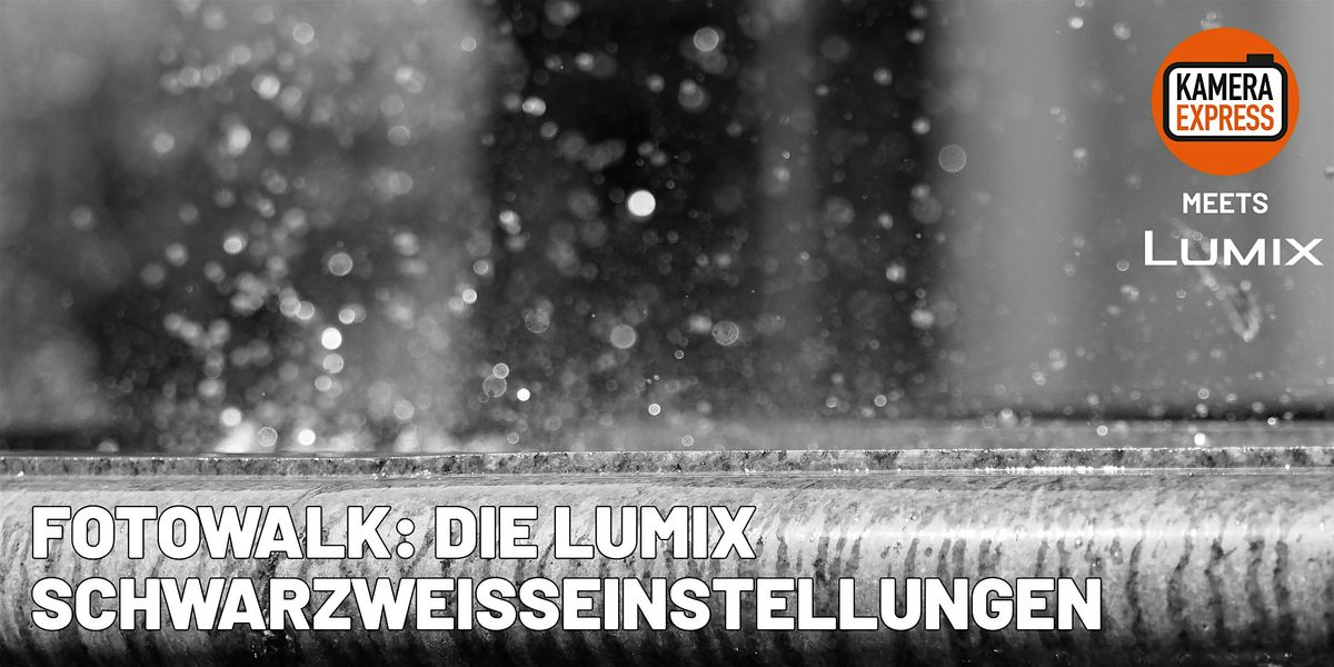 Fotowalk: Die Lumix Schwarzwei\u00dfeinstellungen