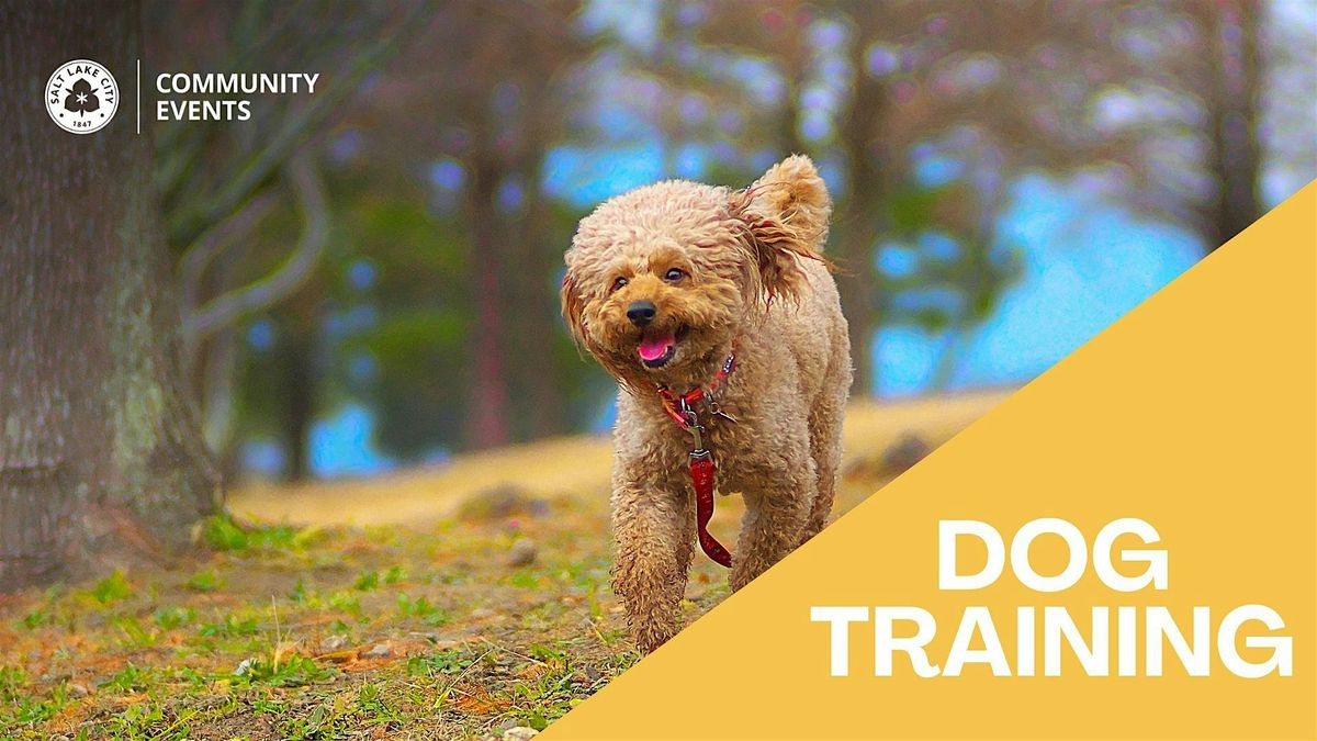 Fall Dog Training