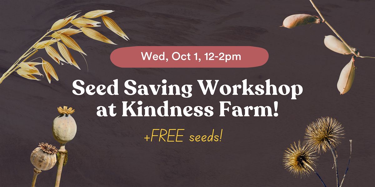 Seed Saving Workshop at Kindness Farm! - RSVP & Tickets on Humanitix!
