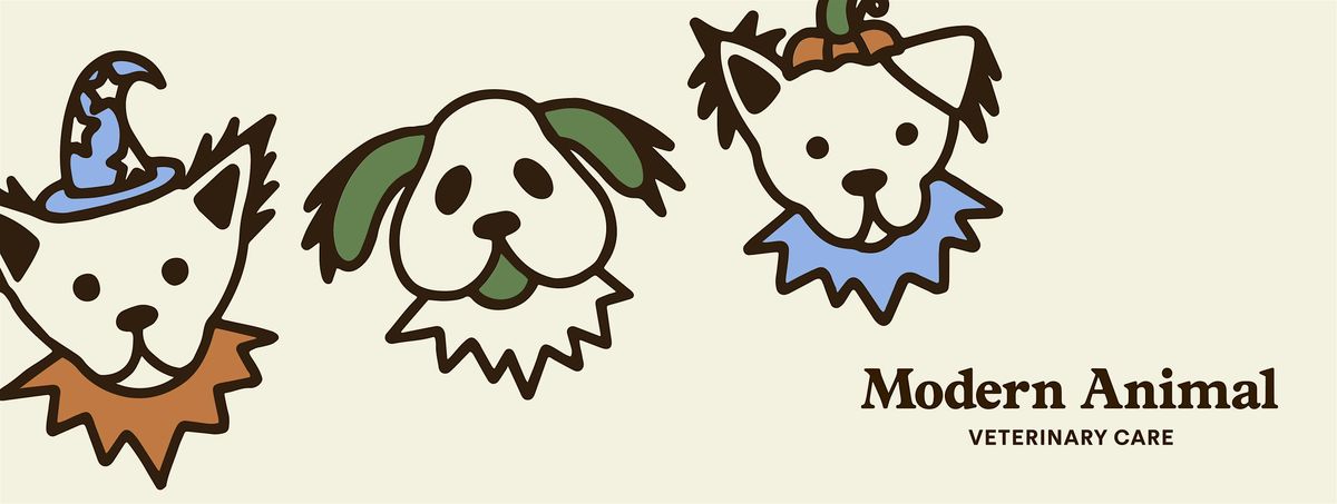 Ghouls & Goodies on Aldrich Street