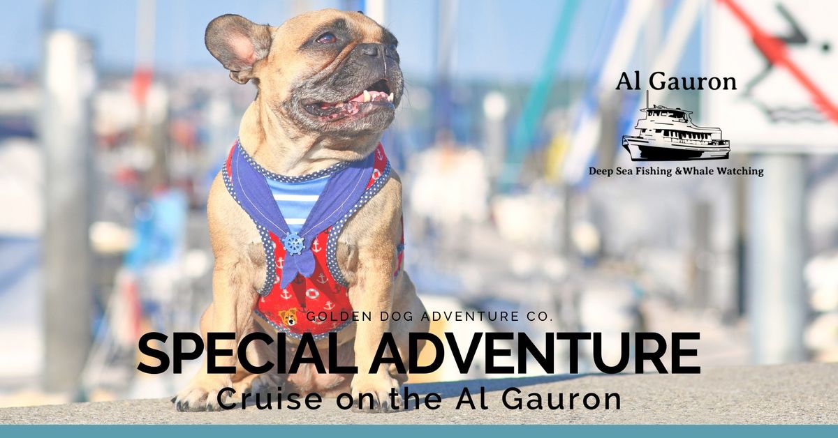 SPECIAL ADVENTURE: Cruise on the Al Gauron