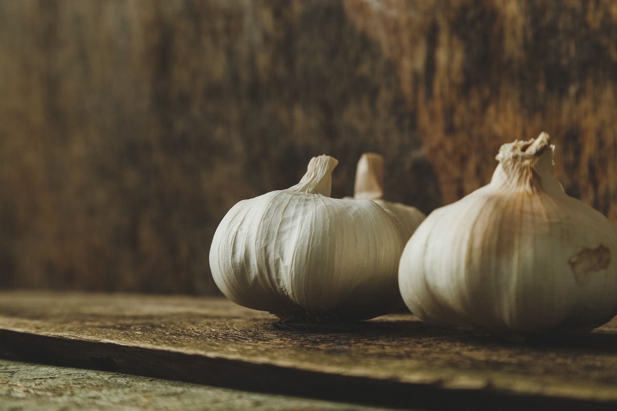 All About Garlic with Peter Fitzmaurice at GARDENWORKS North Shore