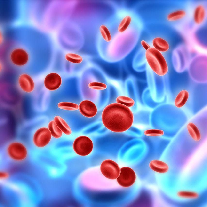 Pharmacists' Essential Guide to Haematology - September 2025