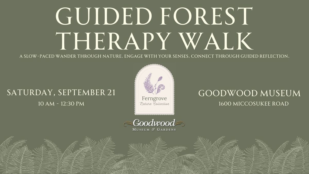 Guided Forest Therapy Walk