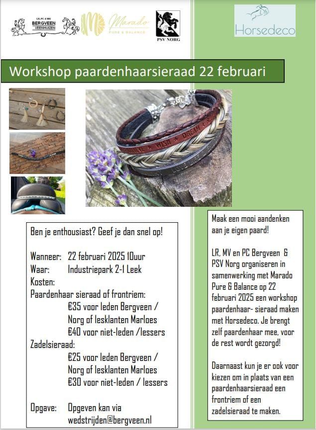 workshop paardenhaarsieraad