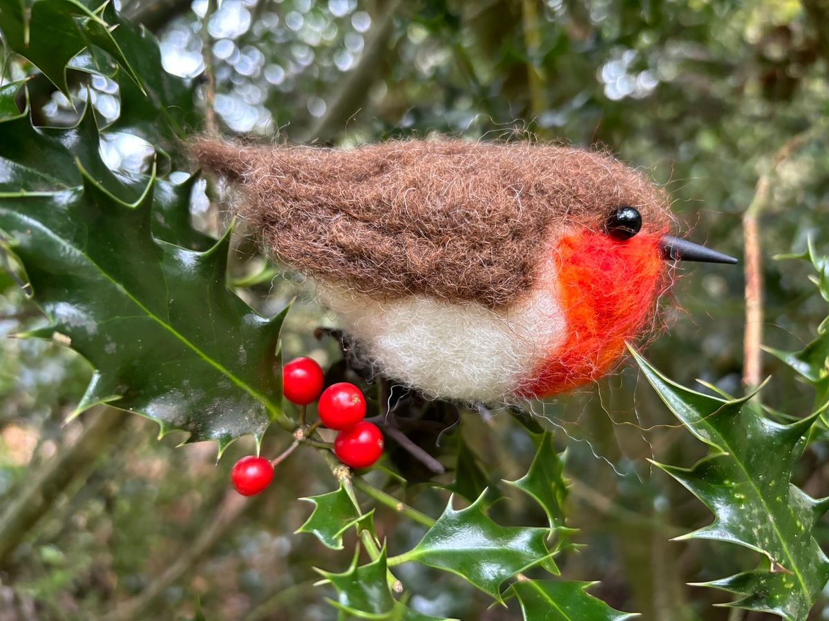 Needle Felted Robin Workshop FULLY BOOKED