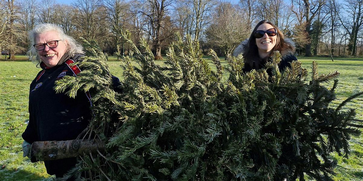 Sue Ryder Christmas Treecycling Peterborough