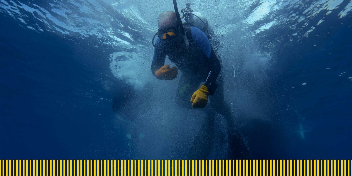 The last dive