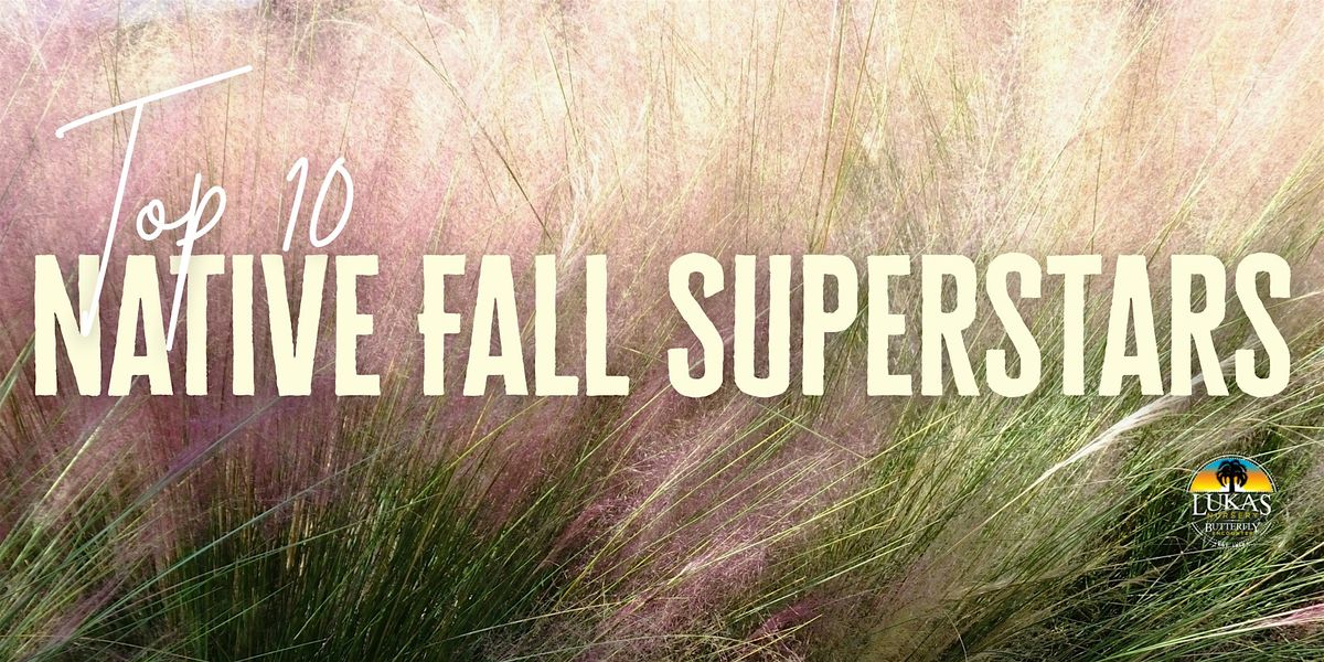 Native Fall Superstars! Top 10 Florida Native Plant Picks