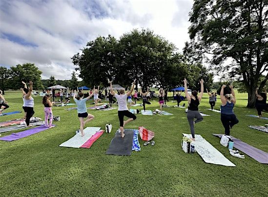 Sunset Dog Yoga \u2013 OC Active Club