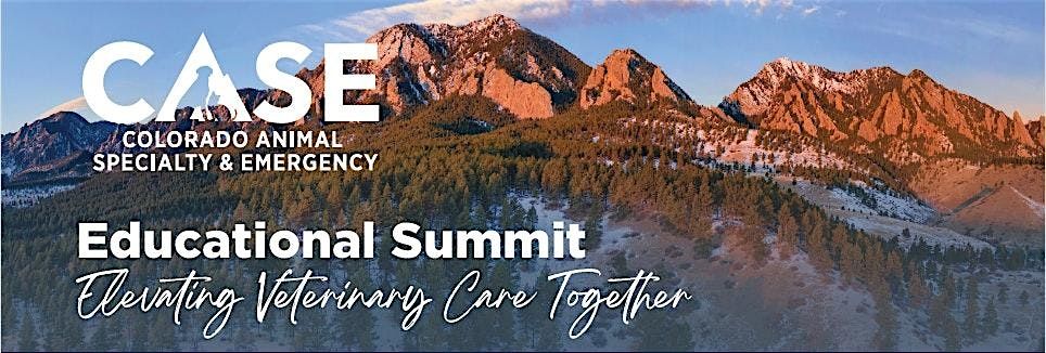 CASE 2025 Educational Summit