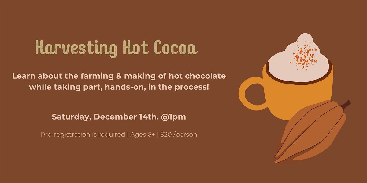 Harvesting Hot Cocoa