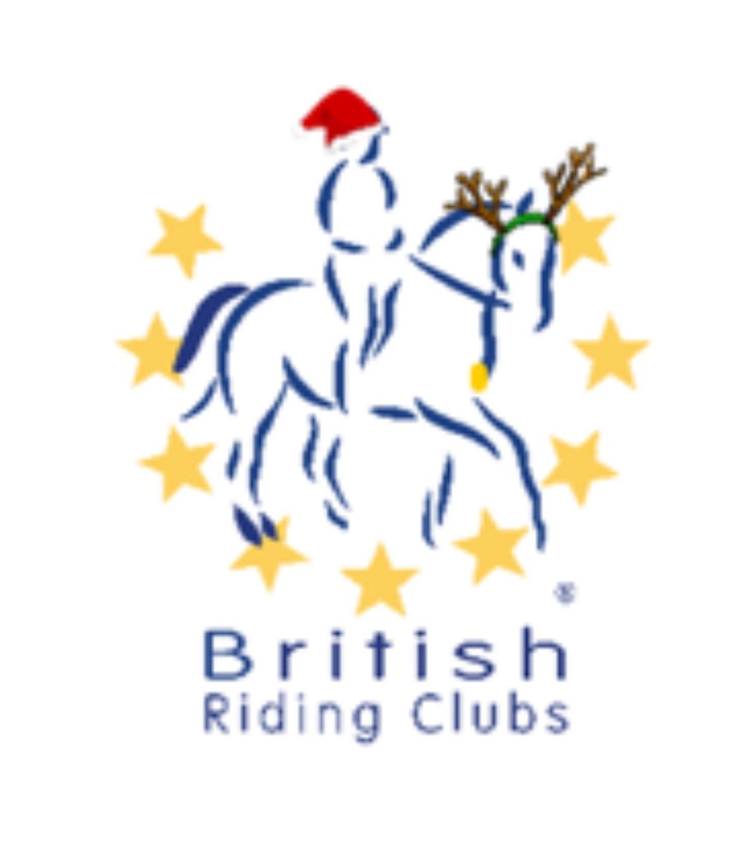 Halesworth & District Christmas Dressage