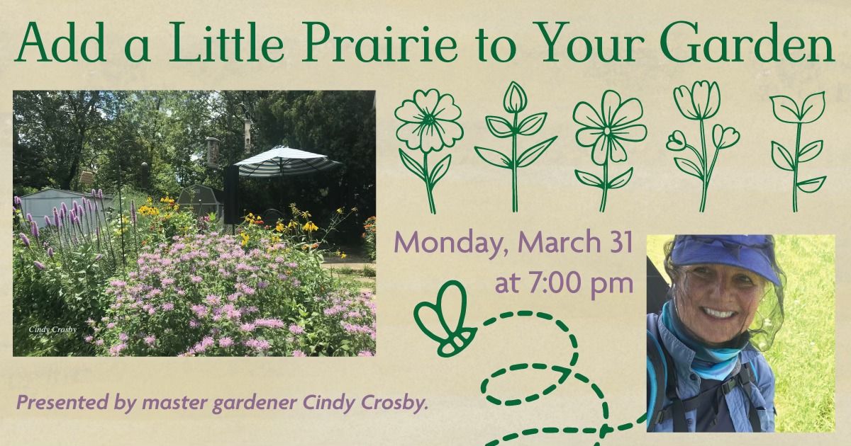 Add a Little Prairie to your Garden