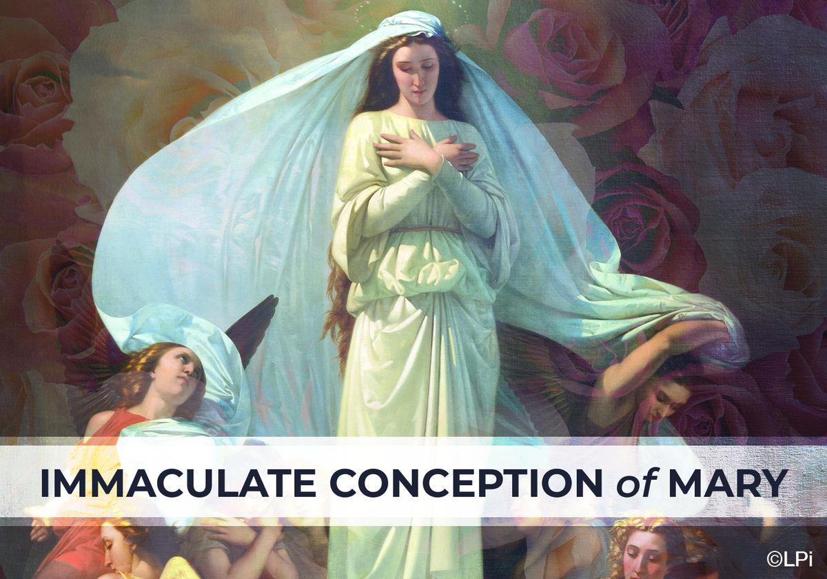 Solemnity of the Immaculate Conception