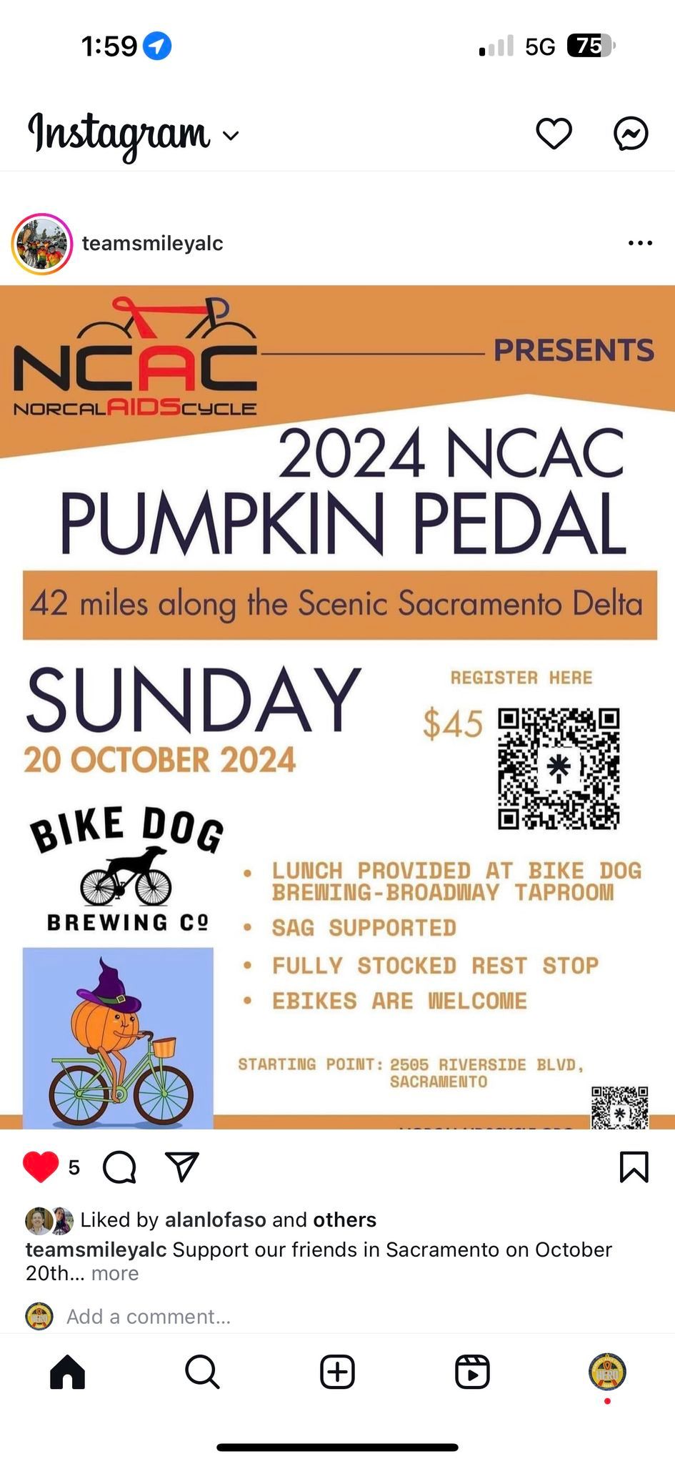 Pumpkin Pedal