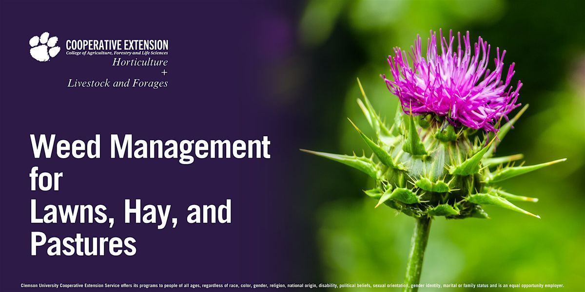 W**d Management for Lawns, Hay, and Pastures