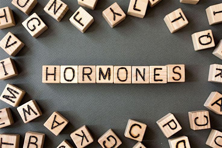 Hormone Hot Mess Workshop