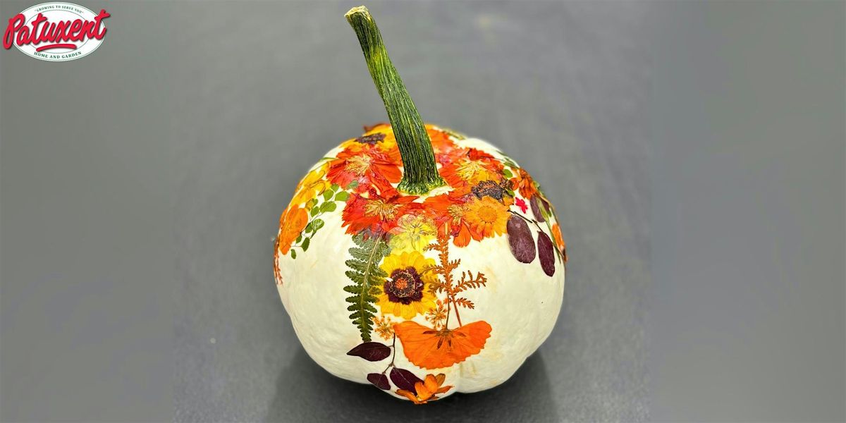 Pumpkins & Petals Design Workshop