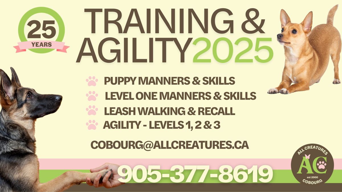 Training & Agility 2025 January Classes