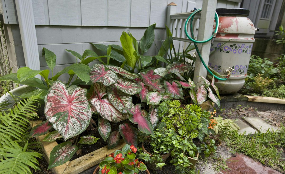 Spring Rain Barrel Workshop