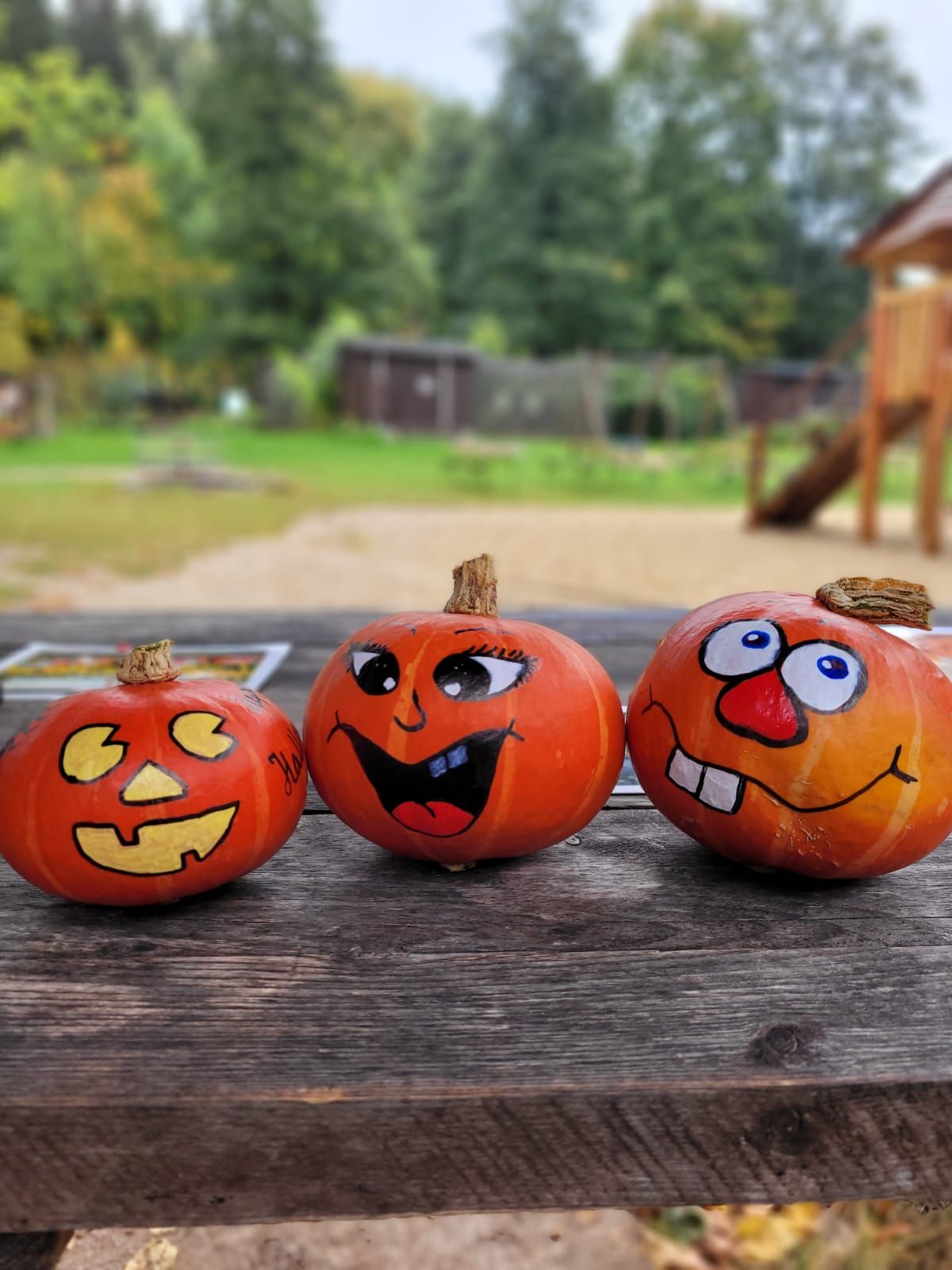 Herbstfest im Wildpark Osterzgebirge