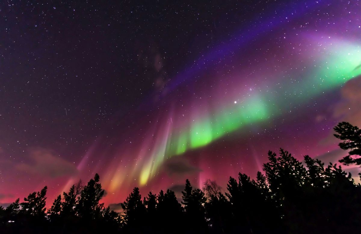 IES Edmonton Northern Lighting Awards Night 2025