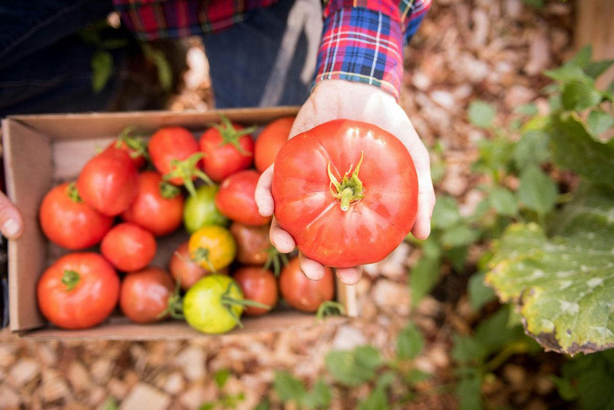 FREE: Planting Your Summer Vegetable Garden