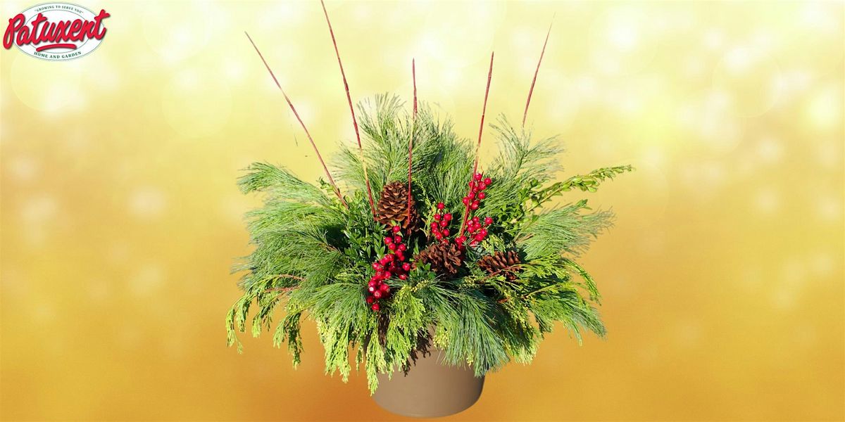 Bows & Boughs Winter Porch Pot Workshops