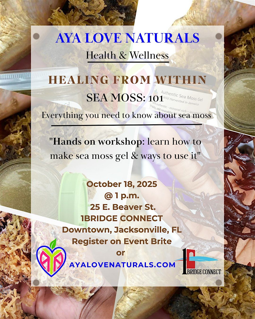 Healing-from-within-workshop:  Sea Moss 101